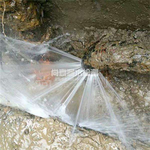 蠡县消防管道漏水检测